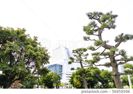 Yokohama (summer) Yokohama (summer) 56858506