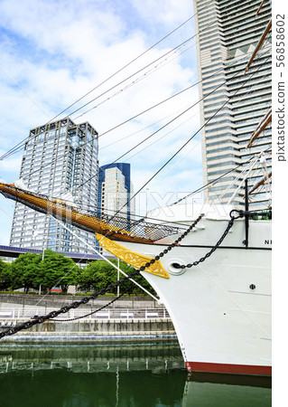 Nippon Maru 56858602