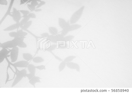 Gray shadow of the wild roses leaves and flowers 56858940