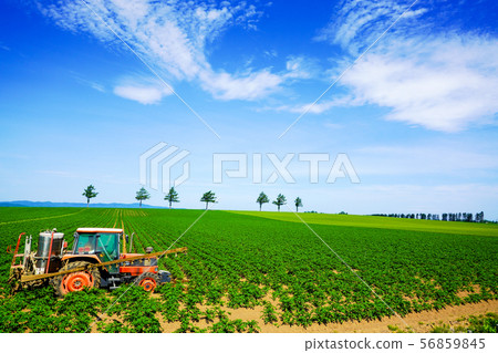 Potato field and tractor Oomachi 56859845