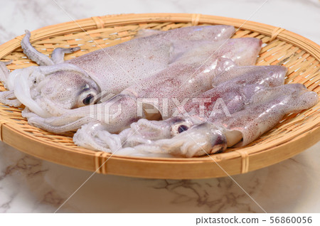 Hiika "Jind Squid" 56860056