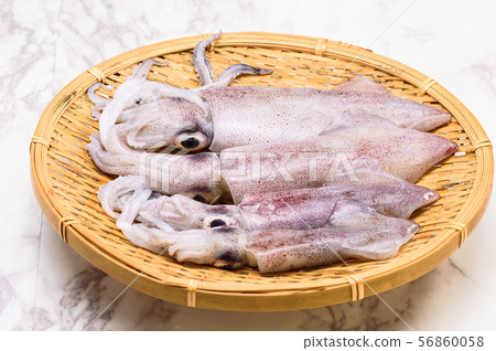 Hiika "Jind Squid" 56860058