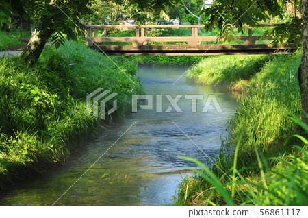 Oshino Hakkai-Oshino Village Oshino Hakkai-Oshino Village 56861117