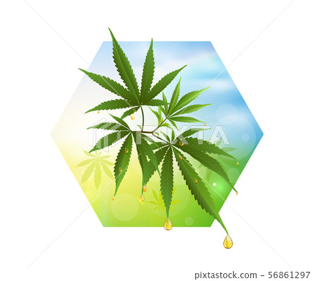 Cannabis or marijauna medical poster design. 56861297