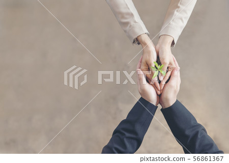 Sustainable Collaboration Green Ecology Business Sustainable Collaboration Green Ecology Business 56861367