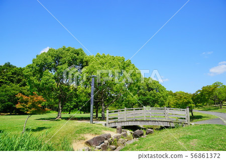 Dragonfly Park Osaka prefecture Dragonfly Park Osaka prefecture 56861372