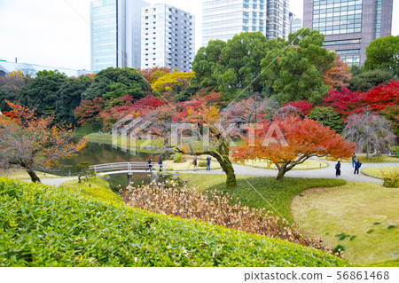 Koishikawa Korakuen庭院在秋天 Koishikawa Korakuen庭院在秋天 56861468