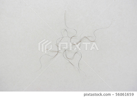 pubic hair fall on bedroom floor pubic hair fall on bedroom floor 56861659
