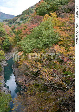 Agatsumaya Agatsumaya 56861710