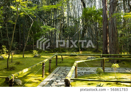 Daitokuji Takasagoin Daitokuji Takasagoin 56861783