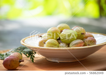 醋栗 醋栗 56862049