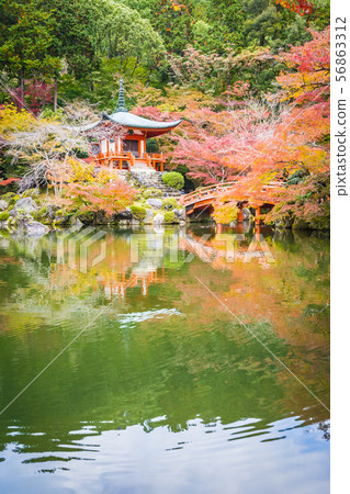 Beautiful Daigoji temple with colorful tree and leaf in autumn season Beautiful Daigoji temple with colorful tree and leaf in autumn season 56863312