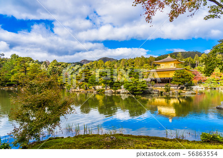 Beautiful Kinkakuji temple with golden pavillion in Kyoto japan 56863554