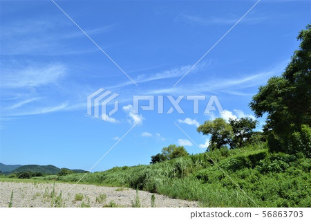 天氣晴朗時,四萬十川的河岸 天氣晴朗時,四萬十川的河岸 56863703