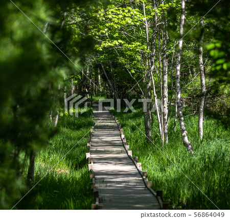 Acadia National Park in Maine Acadia National Park in Maine 56864049