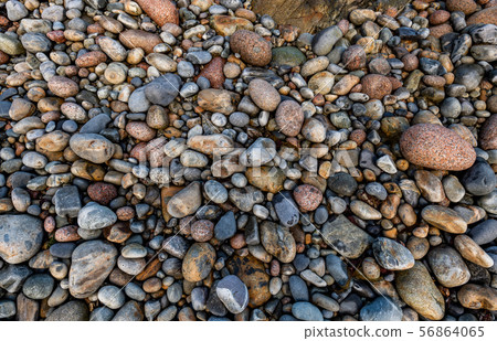 Acadia National Park in Maine  56864065