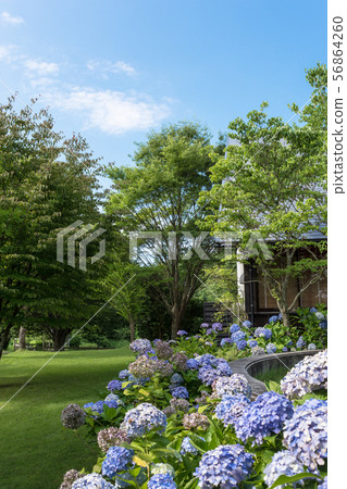 雨季 雨季 56864260