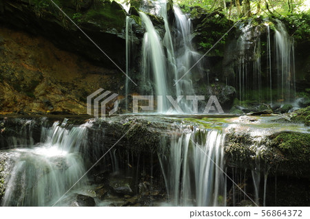 Monkey Bottle Falls Monkey Bottle Falls 56864372