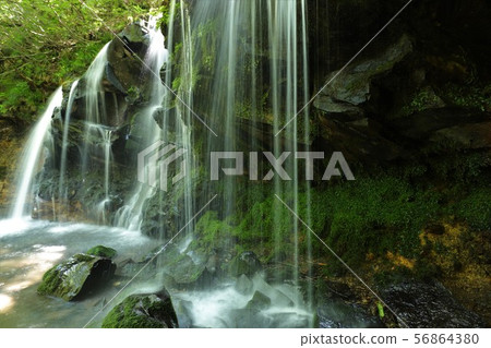 Monkey Bottle Falls Monkey Bottle Falls 56864380