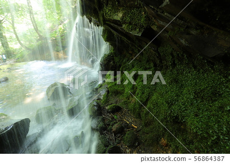 Monkey Bottle Falls Monkey Bottle Falls 56864387
