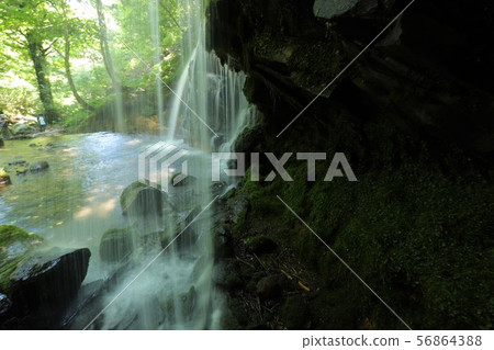 Monkey Bottle Falls 56864388