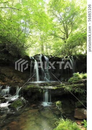 Monkey Bottle Falls Monkey Bottle Falls 56865106