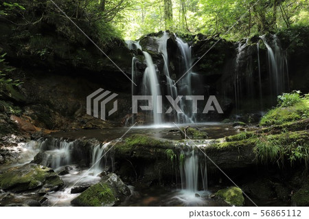 Monkey Bottle Falls Monkey Bottle Falls 56865112