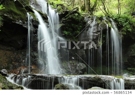 Monkey Bottle Falls Monkey Bottle Falls 56865134