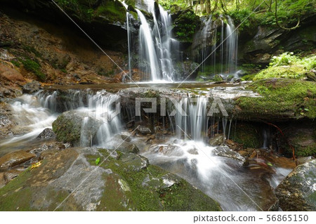 Monkey Bottle Falls Monkey Bottle Falls 56865150