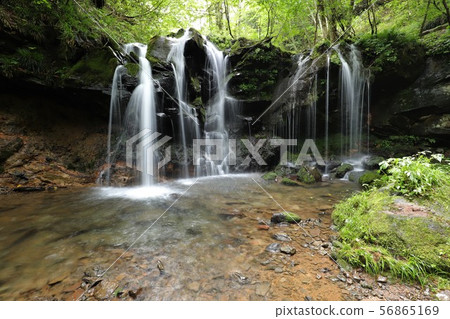 Monkey Bottle Falls Monkey Bottle Falls 56865169