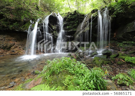 Monkey Bottle Falls Monkey Bottle Falls 56865171