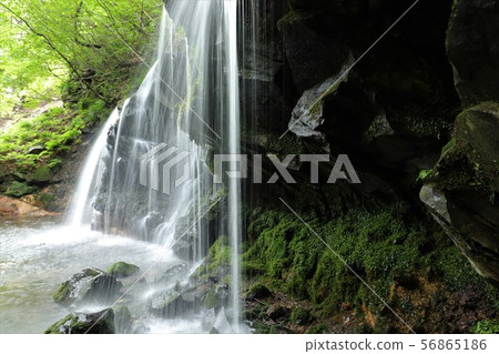 Monkey Bottle Falls Monkey Bottle Falls 56865186