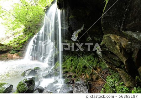 Monkey Bottle Falls Monkey Bottle Falls 56865187