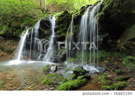 Monkey Bottle Falls Monkey Bottle Falls 56865194