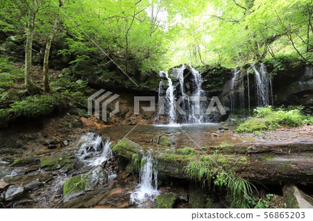 Monkey Bottle Falls Monkey Bottle Falls 56865203
