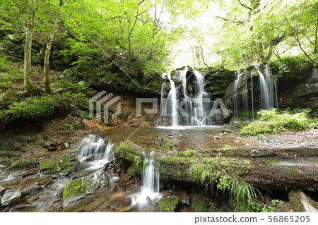 Monkey Bottle Falls Monkey Bottle Falls 56865205