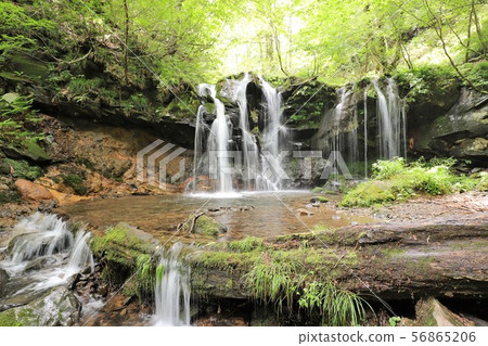 Monkey Bottle Falls Monkey Bottle Falls 56865206