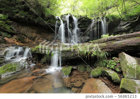Monkey Bottle Falls Monkey Bottle Falls 56865213