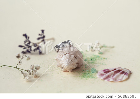 beautiful macro shot of golden wedding ring with sea shell and little flowers on colored background 56865593