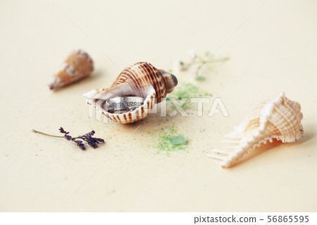 beautiful macro shot of golden wedding ring with sea shell and little flowers on colored background beautiful macro shot of golden wedding ring with sea shell and little flowers on colored background 56865595