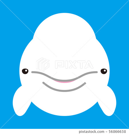 絲綢海豚 絲綢海豚 56866638