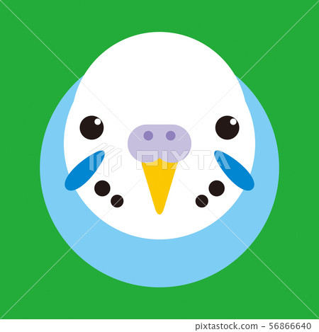 Parakeet-blue 56866640