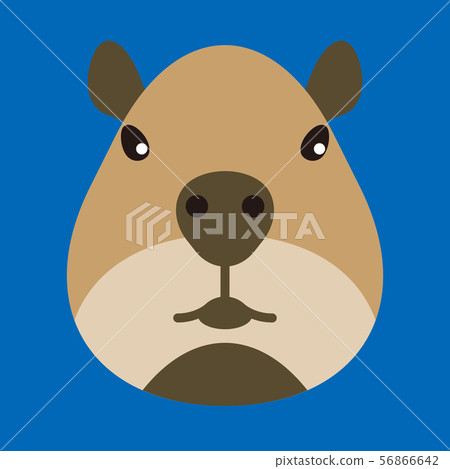 Capybara 56866642