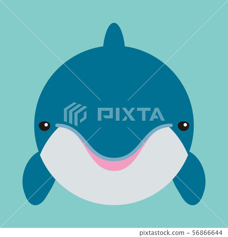 海豚 56866644