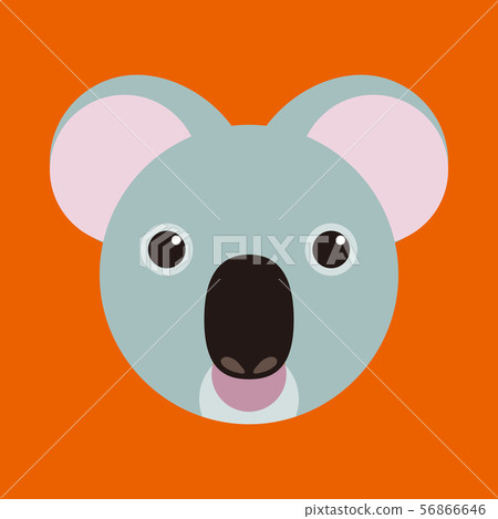Koala Koala 56866646