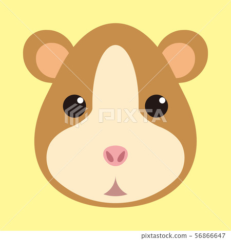 Hamster Hamster 56866647