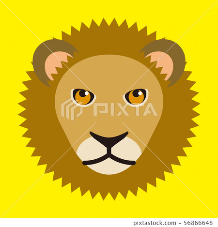 lion lion 56866648