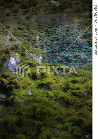 白川水源 白川水源 56866963