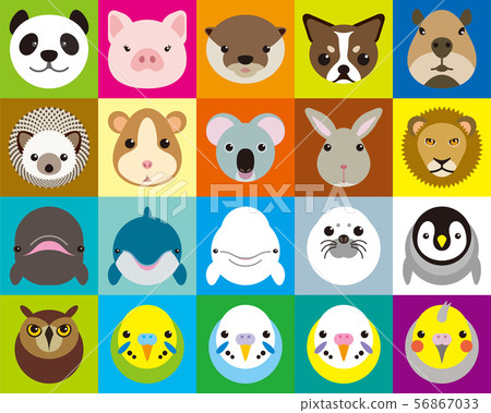 動物圖標 56867033