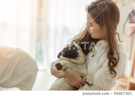 woman kissing her Cute dog pug breed woman kissing her Cute dog pug breed 56867365
